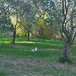 Ripalta Sogliano al Rubicone