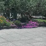 Ripalta Nocleg ze śniadaniem Sogliano al Rubicone