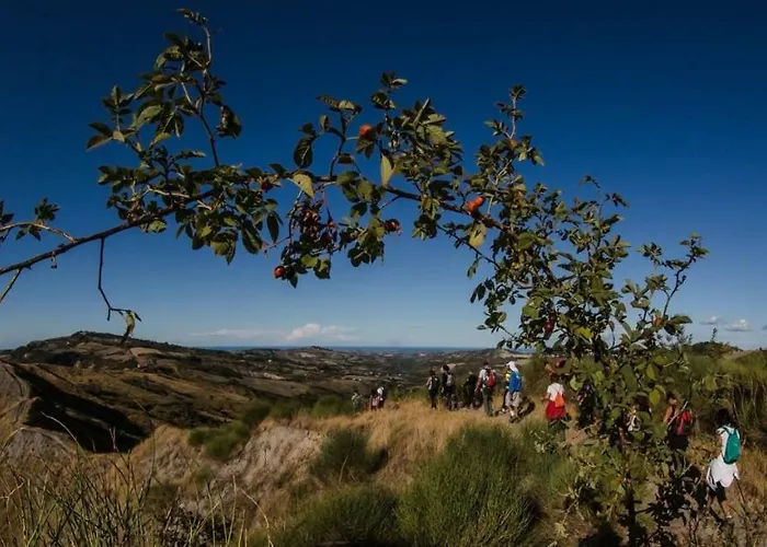 Ripalta Alojamento de Acomodação e Pequeno-almoço 3*