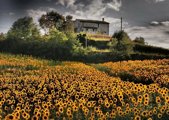 Ripalta Alojamento de Acomodação e Pequeno-almoço Sogliano al Rubicone