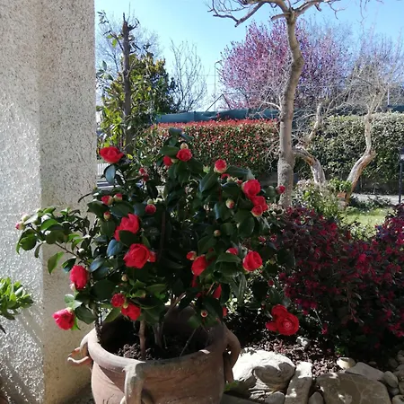 לינה וארוחת בוקר Ripalta Sogliano al Rubicone