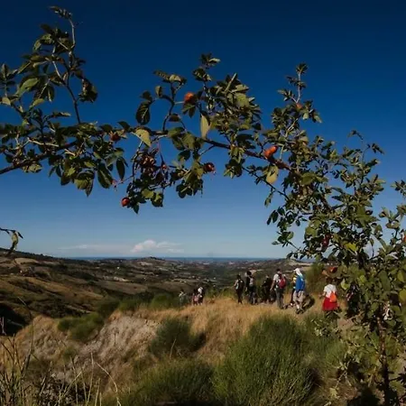 Ripalta לינה וארוחת בוקר 3*