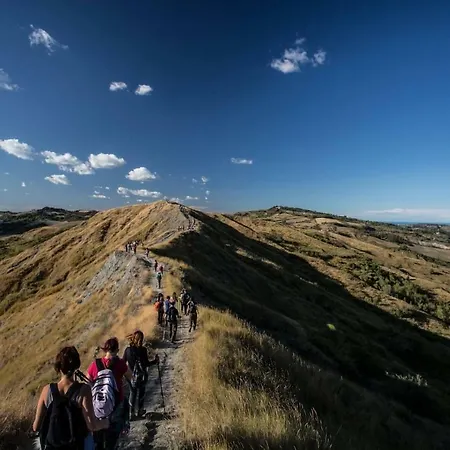 Nocleg ze śniadaniem Ripalta 3*