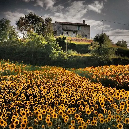 Ripalta לינה וארוחת בוקר Sogliano al Rubicone