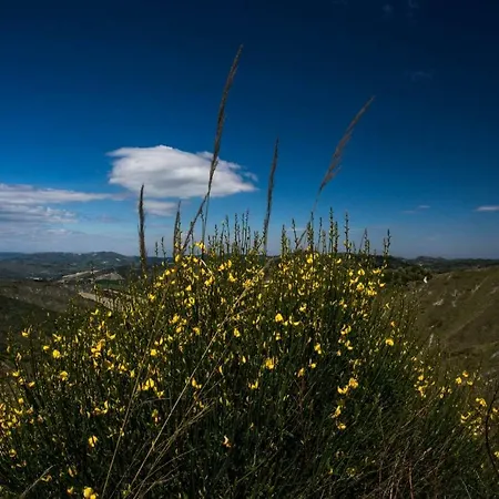 Ripalta 3* Sogliano al Rubicone