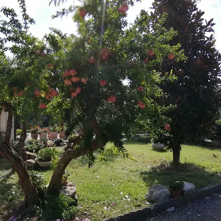 Ripalta לינה וארוחת בוקר 3*