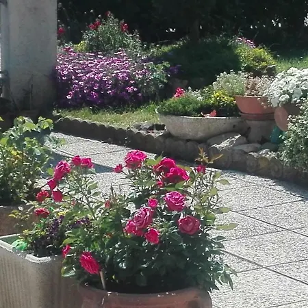 Ripalta Bed and Breakfast Sogliano al Rubicone