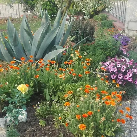 Ripalta Bed and Breakfast Sogliano al Rubicone