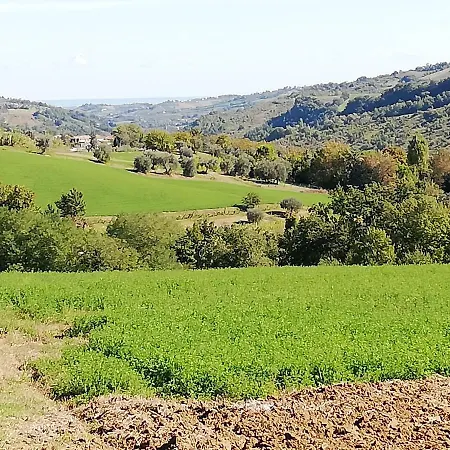 Ripalta 3*