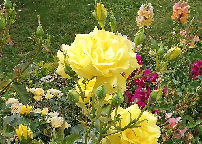 Bed & Breakfast Ripalta 3*