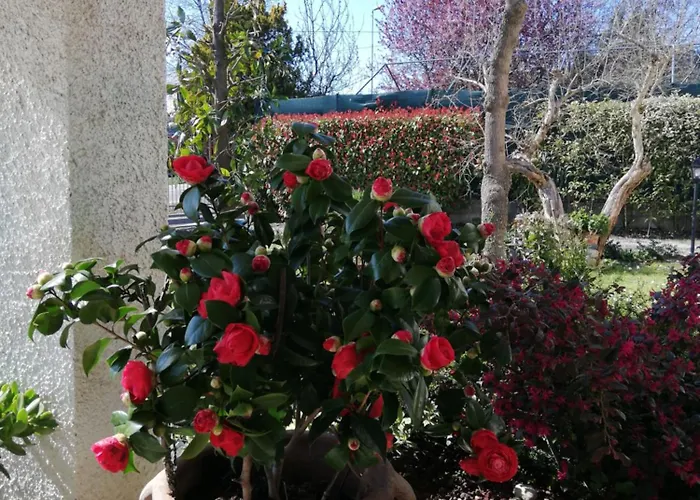 Bed & Breakfast Ripalta Sogliano al Rubicone