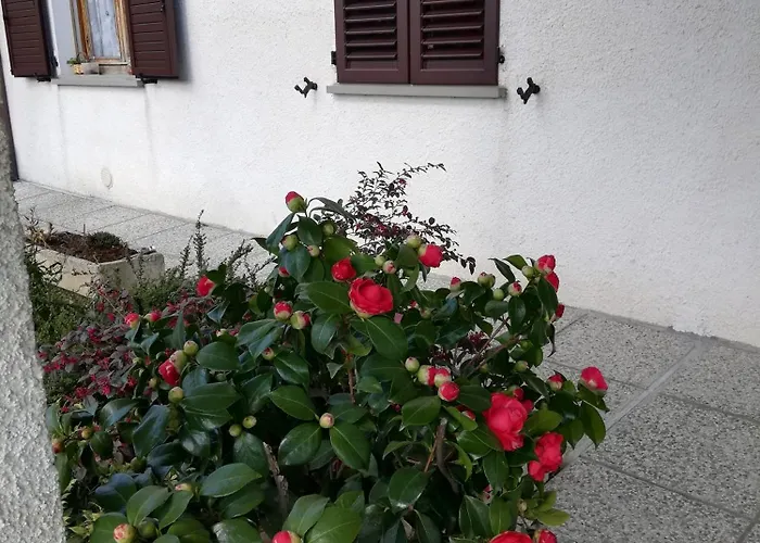 Bed & Breakfast Ripalta Sogliano al Rubicone