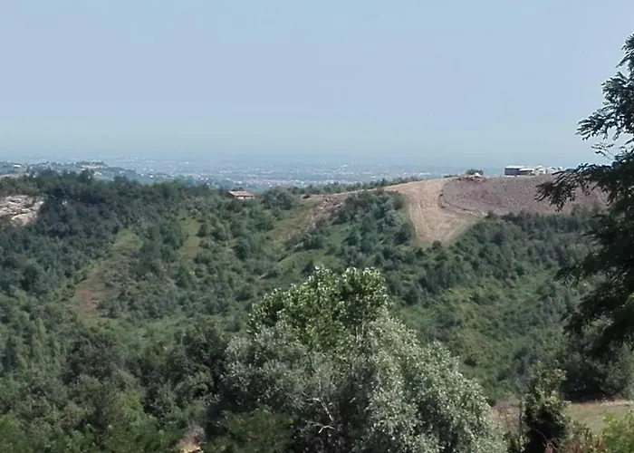 Ripalta Oda ve Kahvaltı