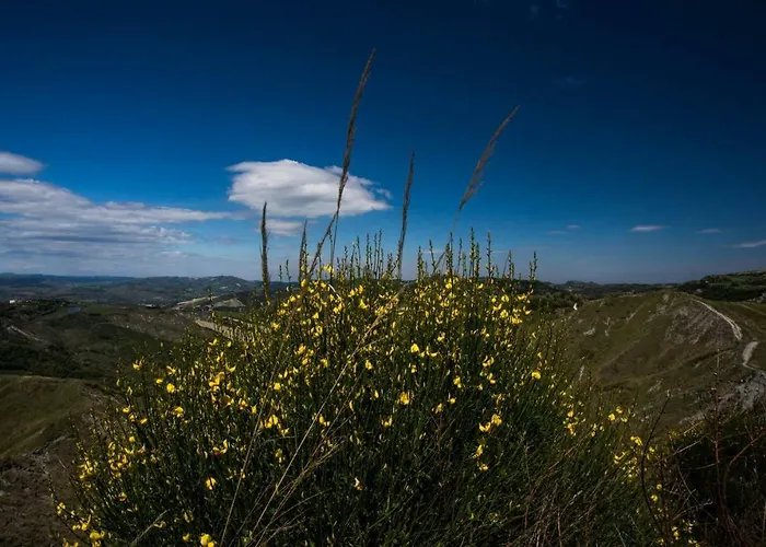 Ripalta 3* Sogliano al Rubicone