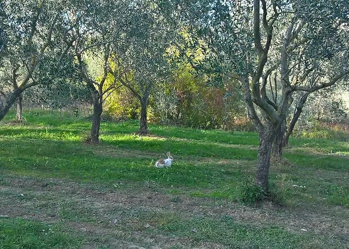 Ripalta Sogliano al Rubicone