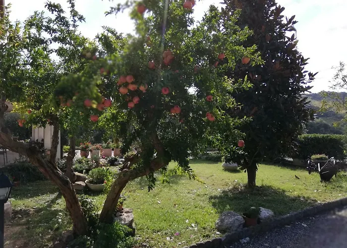 Ripalta Bed & Breakfast 3*